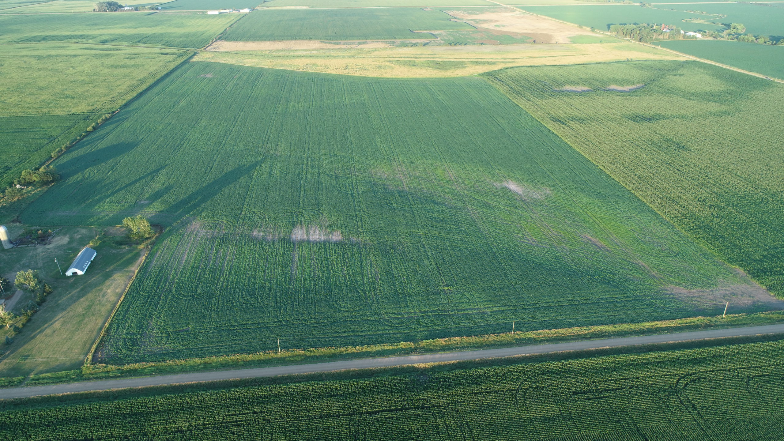 76.25+/ Acres of Lincoln County Land Westra Auction Land & Auction