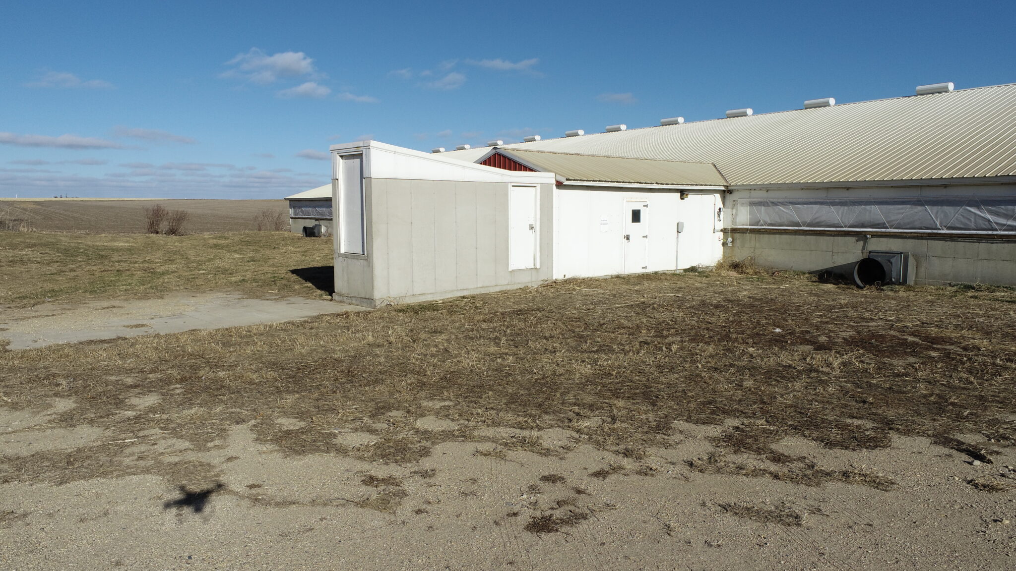 Rock County, MN, Producing Acreage Auction of 17.88 Acres. Sold